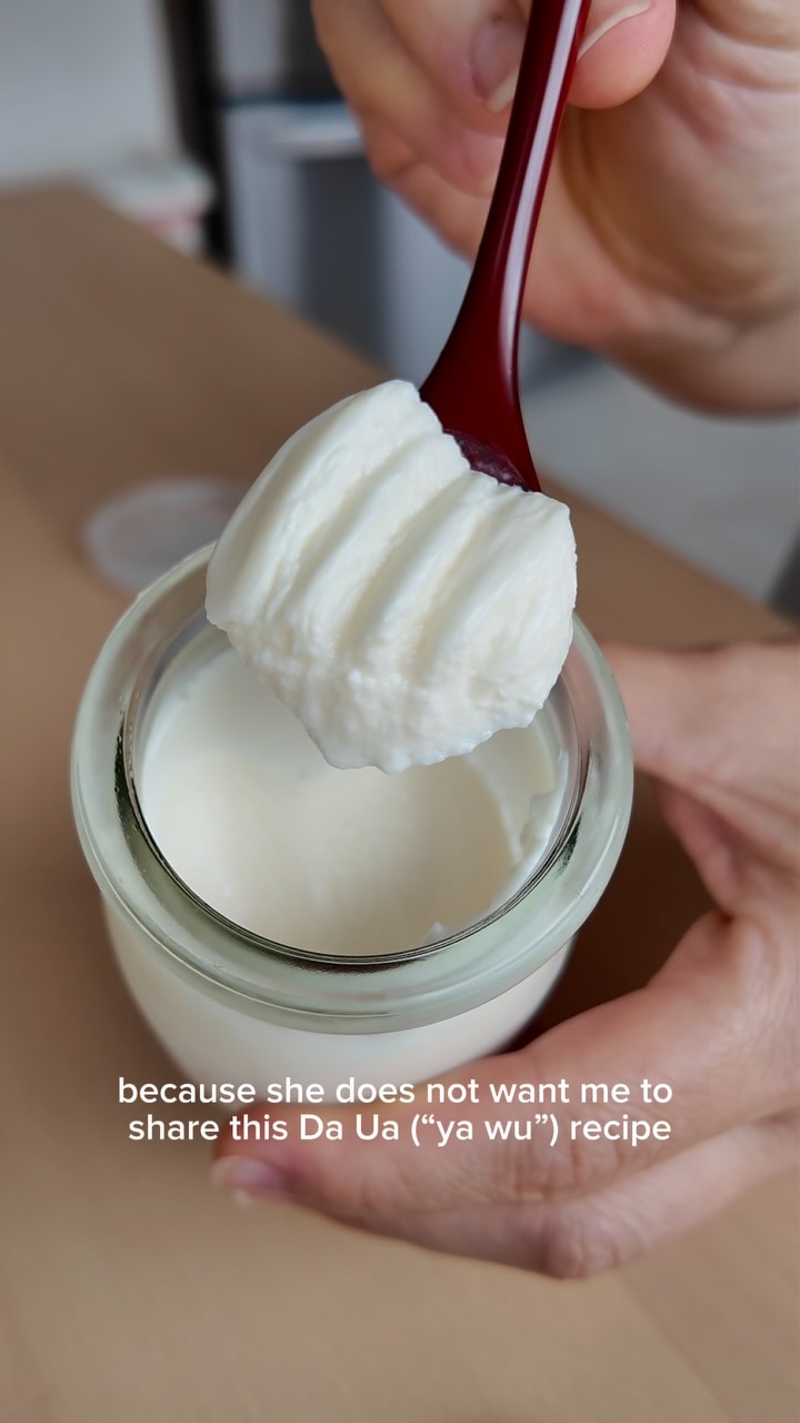 Vietnamese Yogurt (Yaowu)