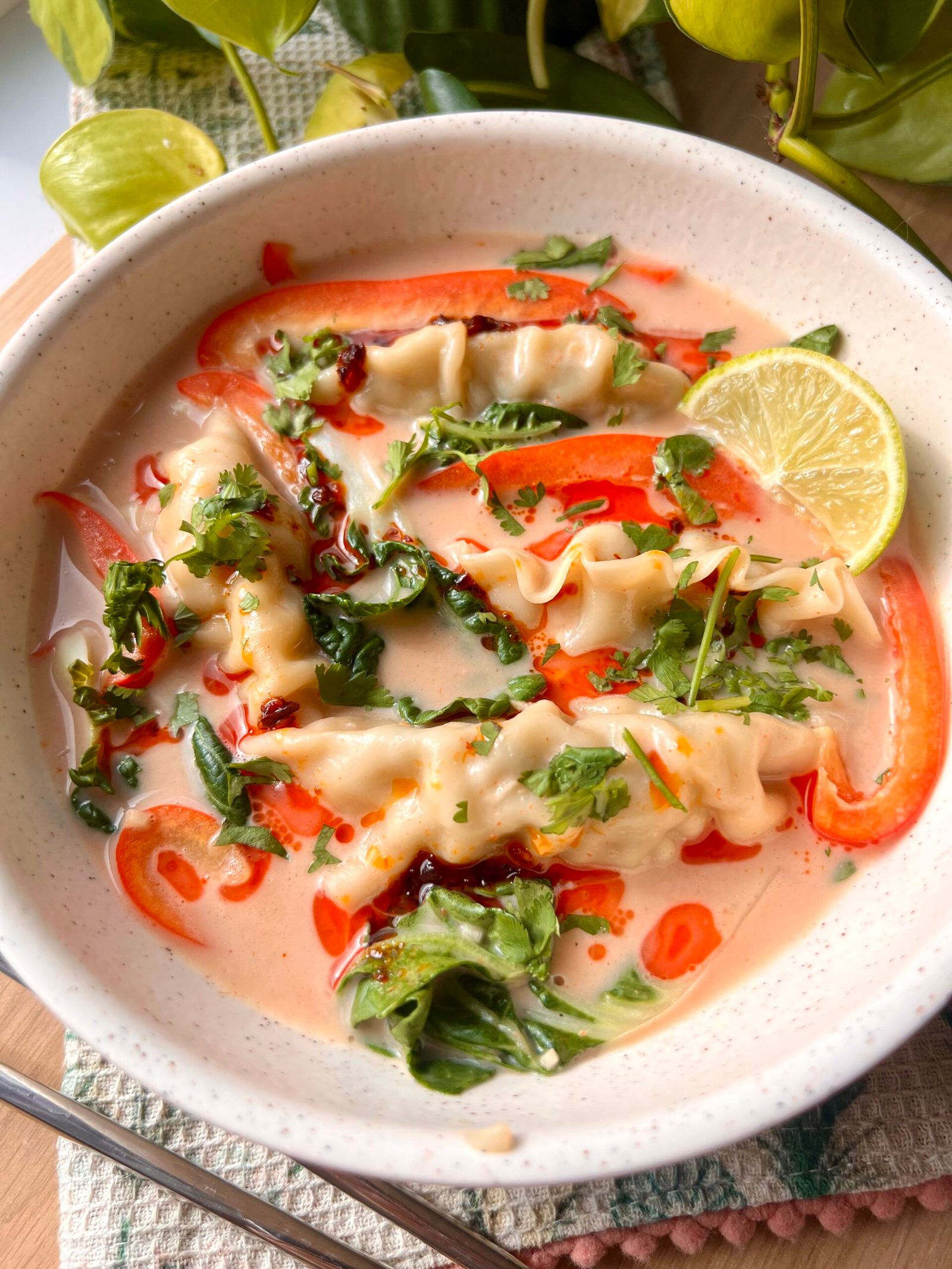 Dumpling Thai Curry Soup