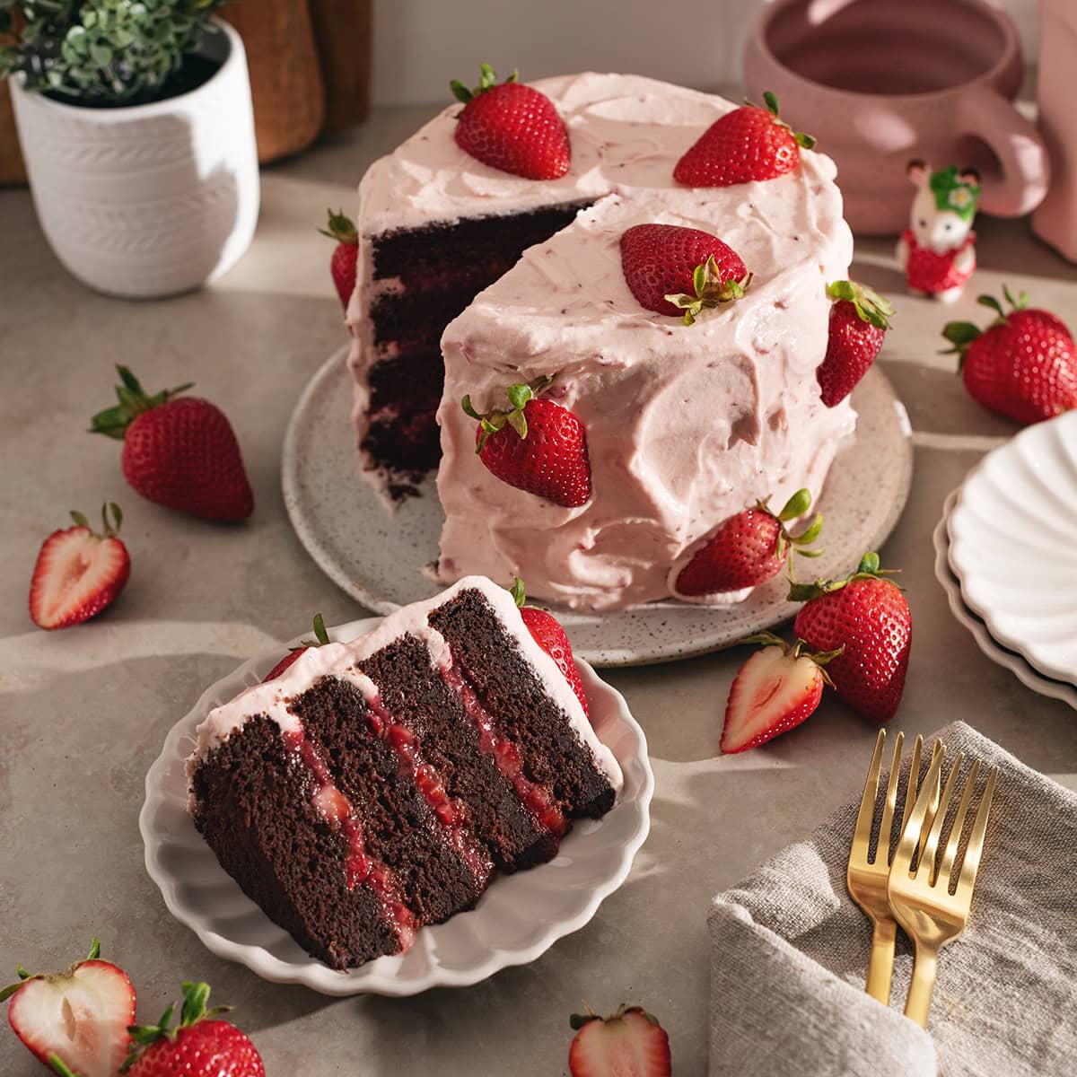Strawberry Chocolate Cake
