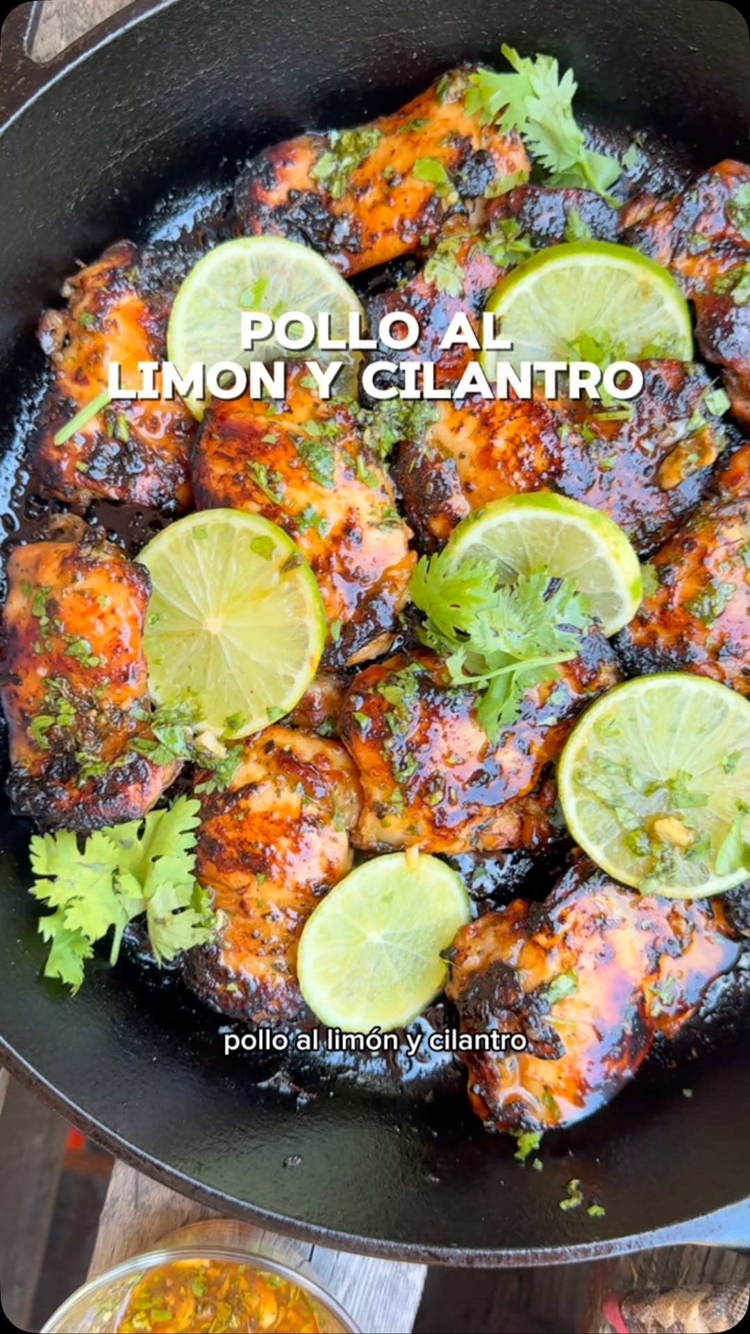 Lemon and Cilantro Chicken