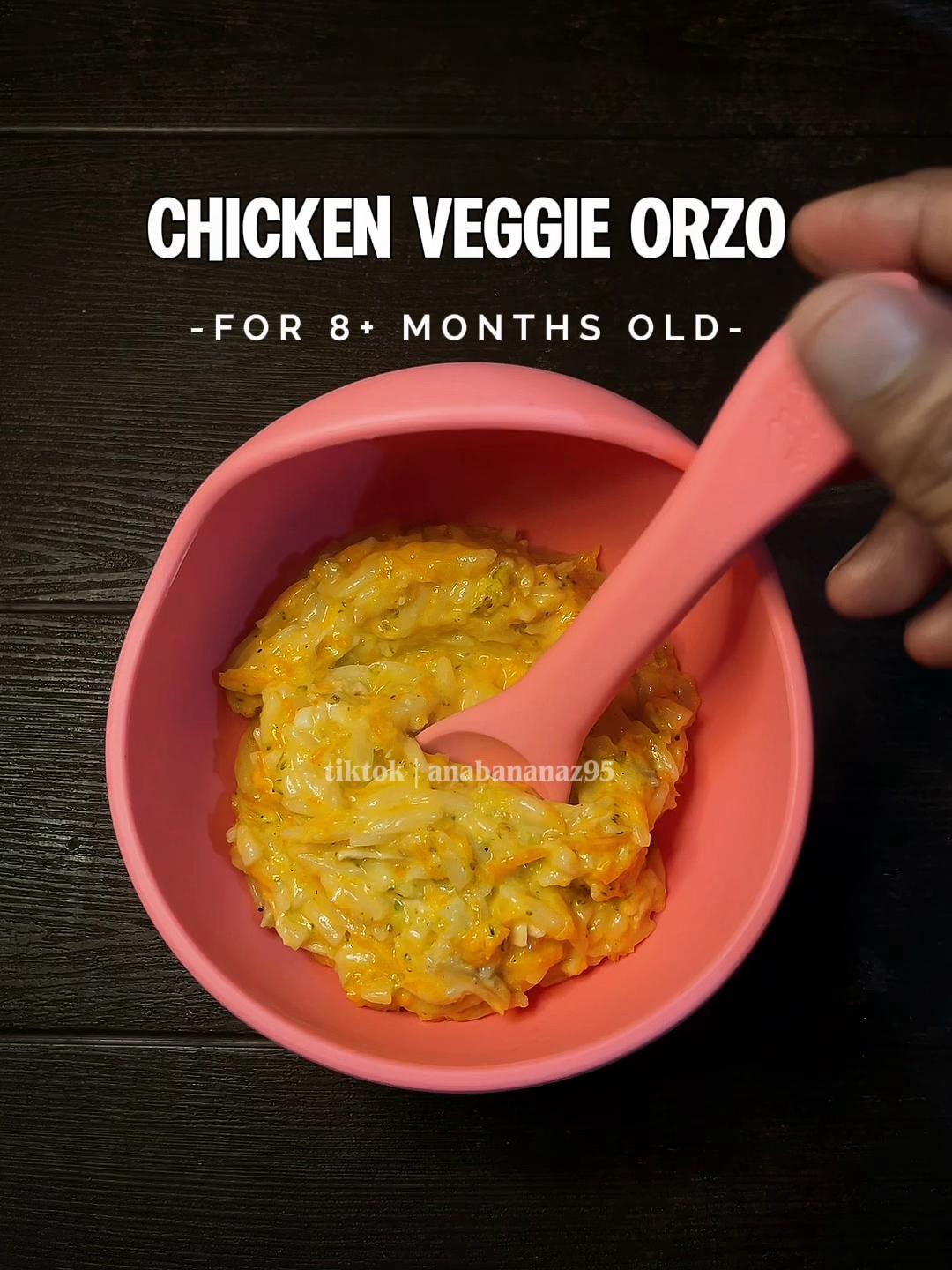 Chicken Veggie Orzo for Toddlers