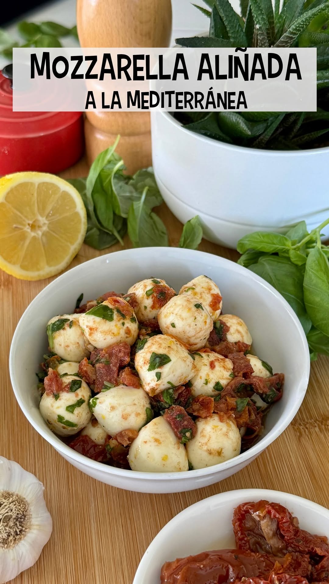 Mediterranean Mozzarella