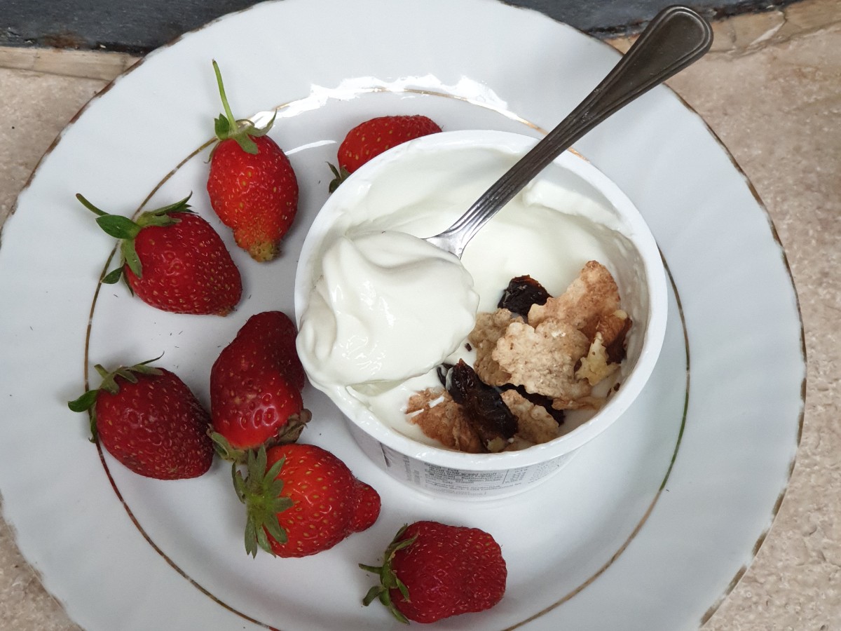 SKYR YOGURT BREAKFAST