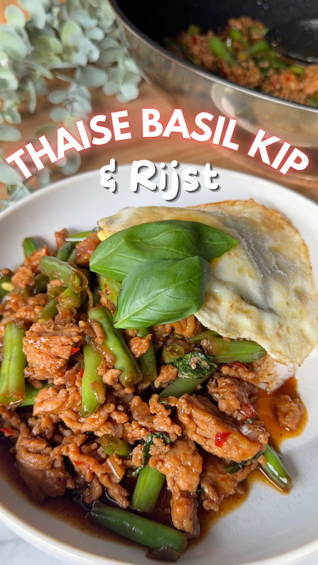 Thai Basil Chicken with Rice