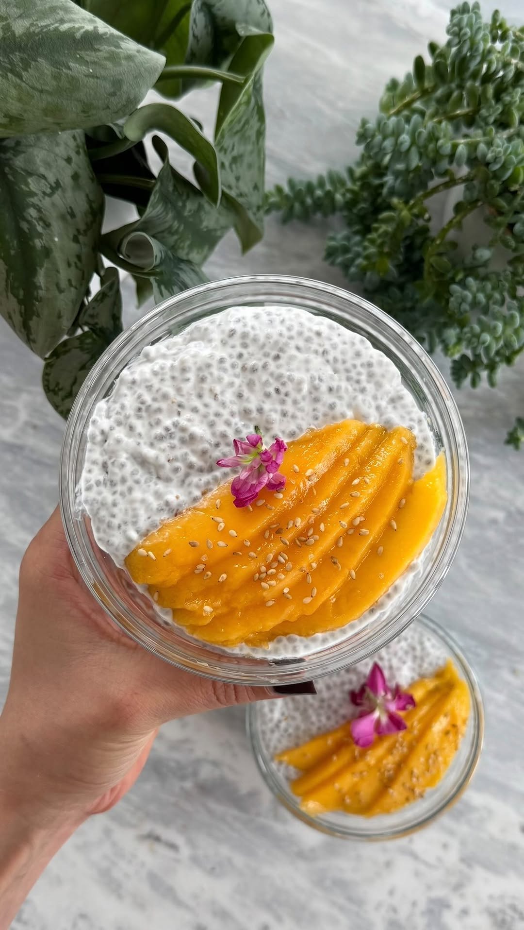 Coconut Chia Pudding with Mango