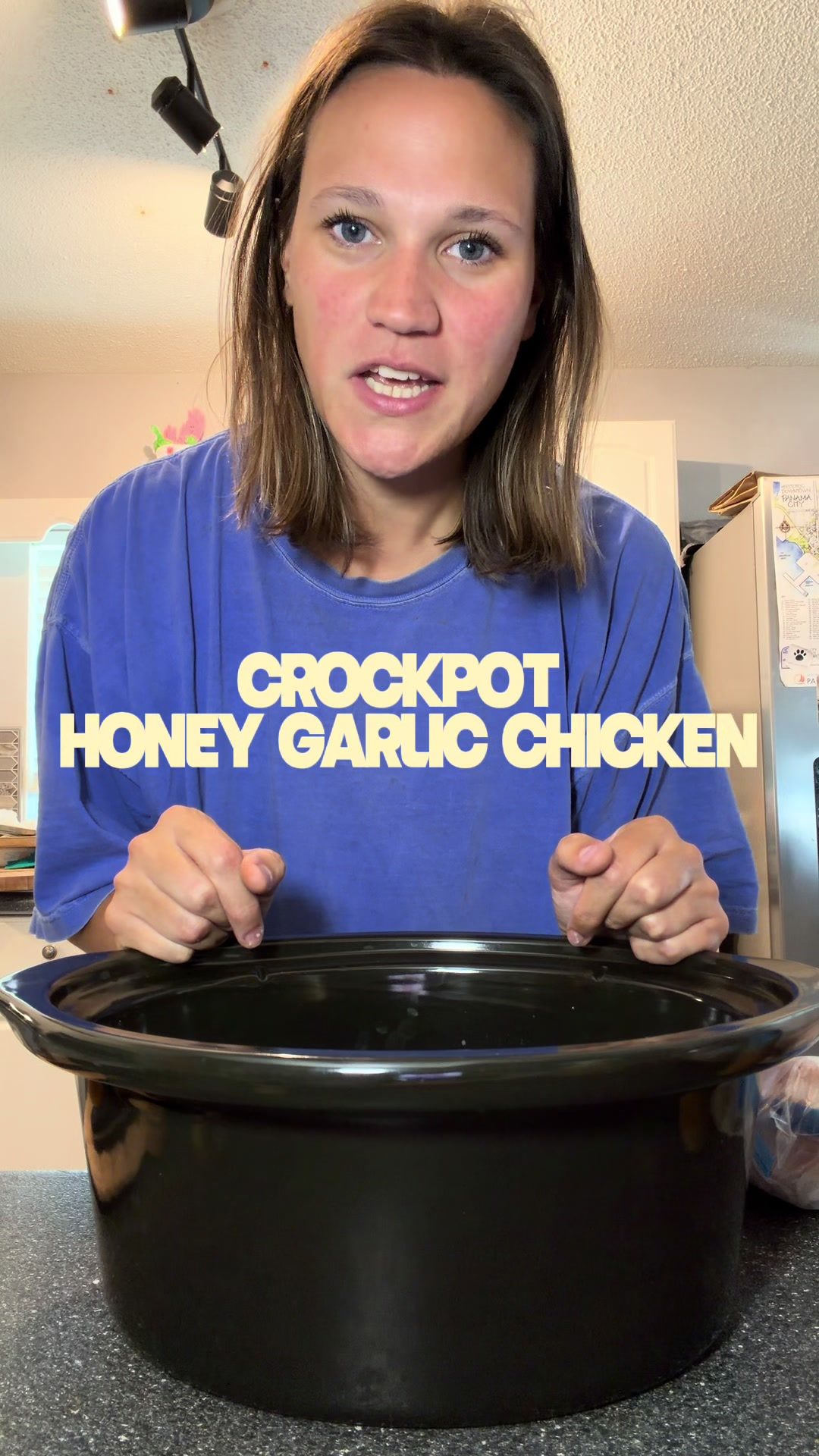 Crockpot Honey Garlic Chicken