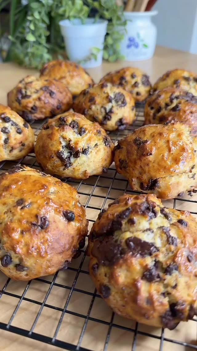 High-Protein Chocolate Chip Brioche Buns