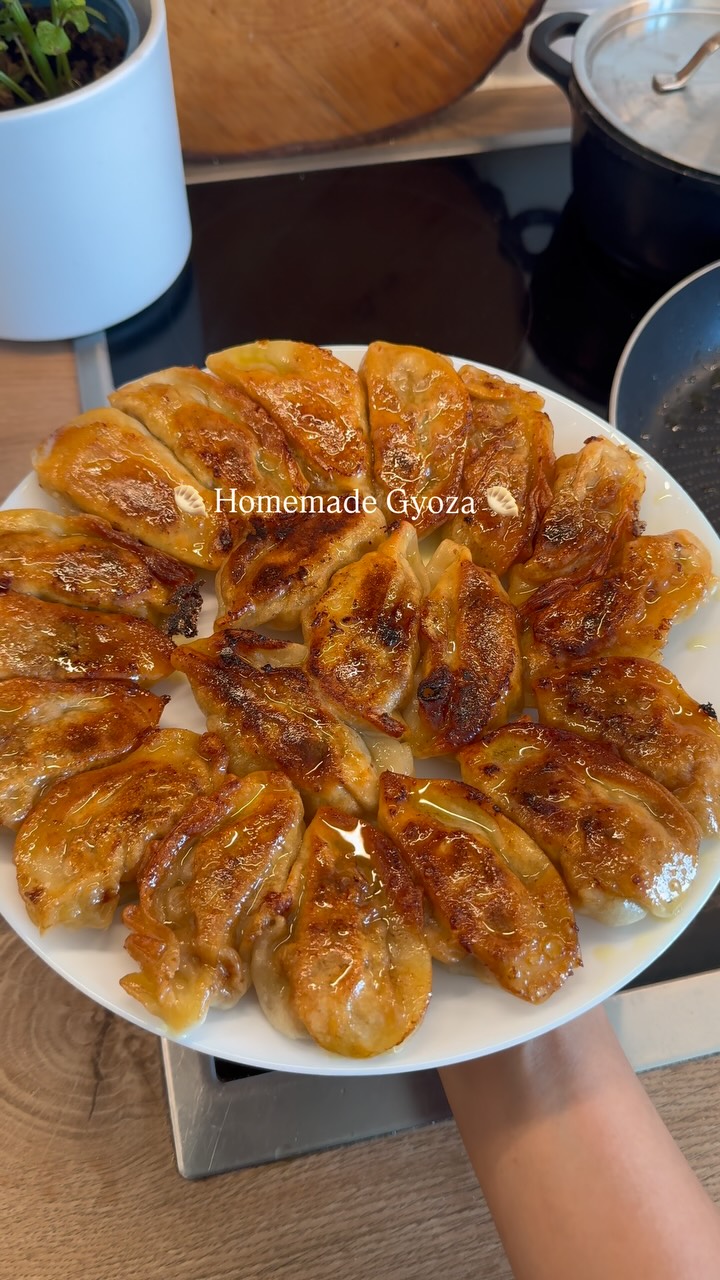 Homemade Meat Gyoza