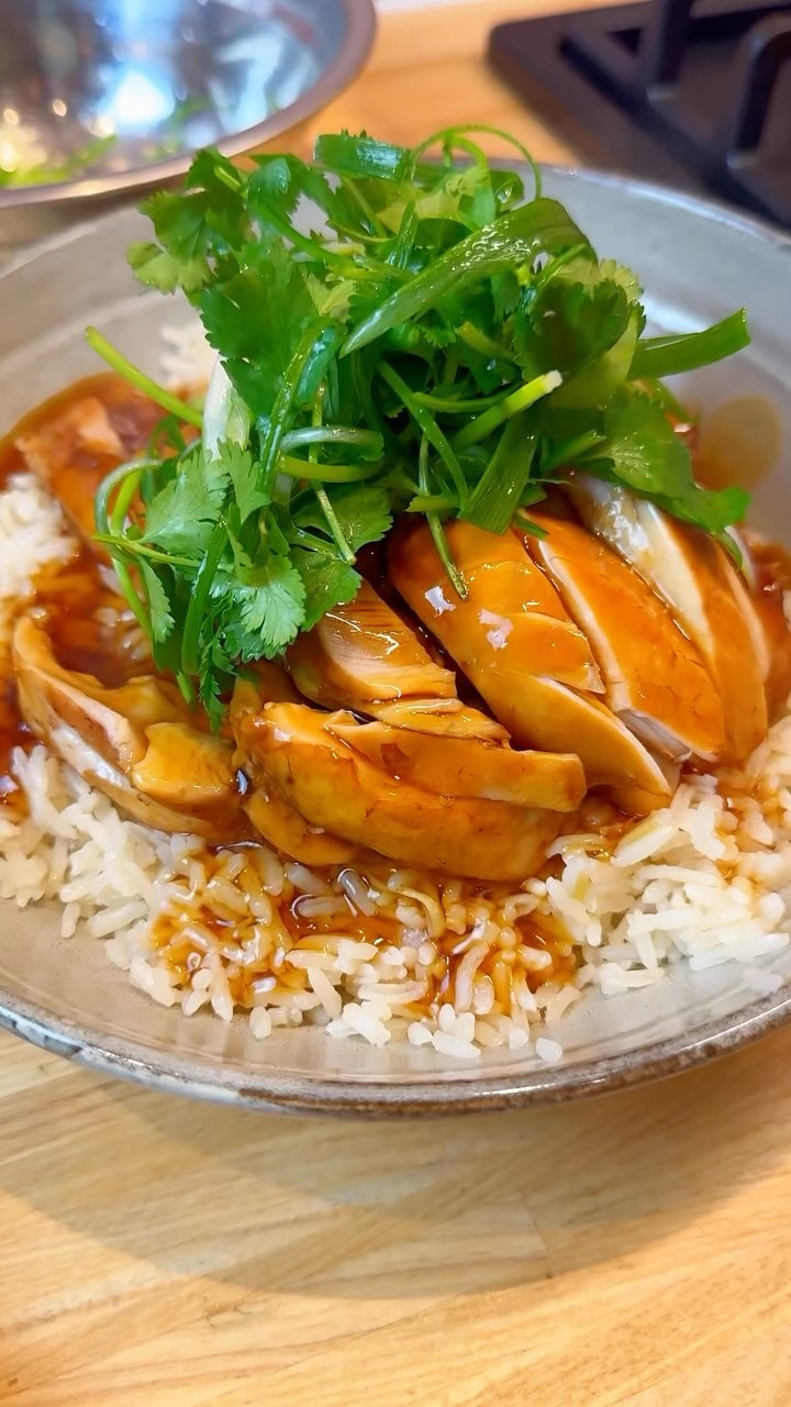 Soy Braised Chicken Rice and Gravy