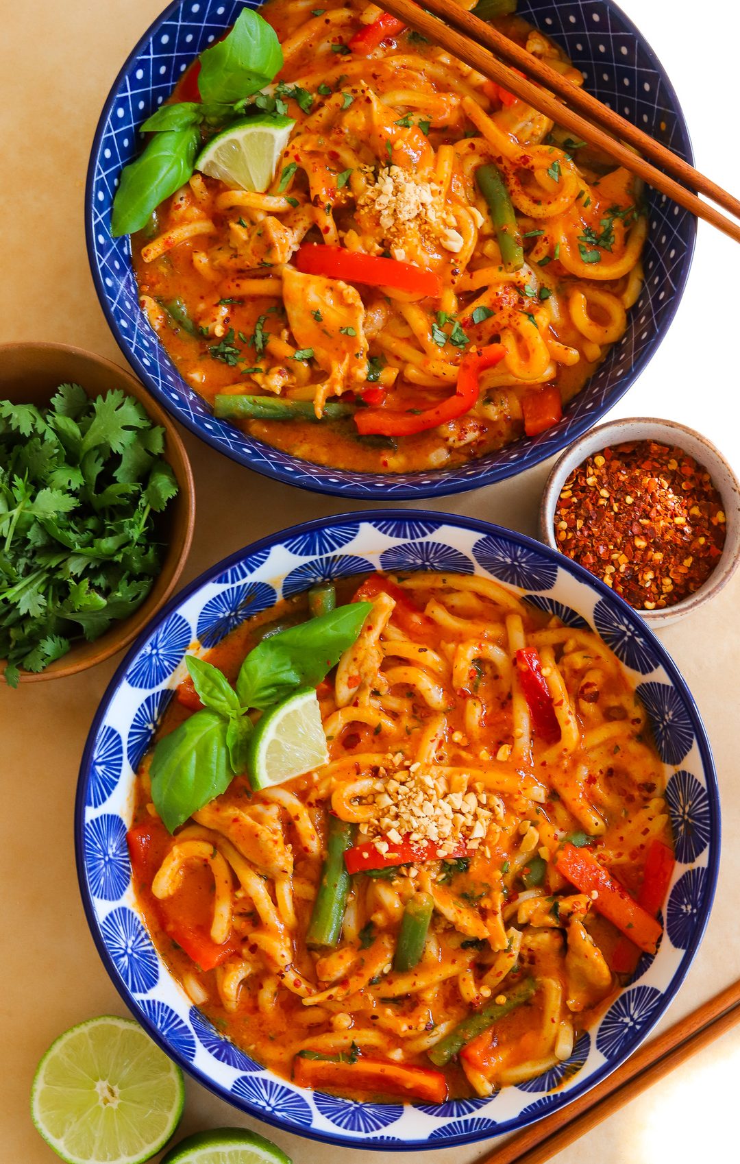 Red Curry Udon Noodle Soup