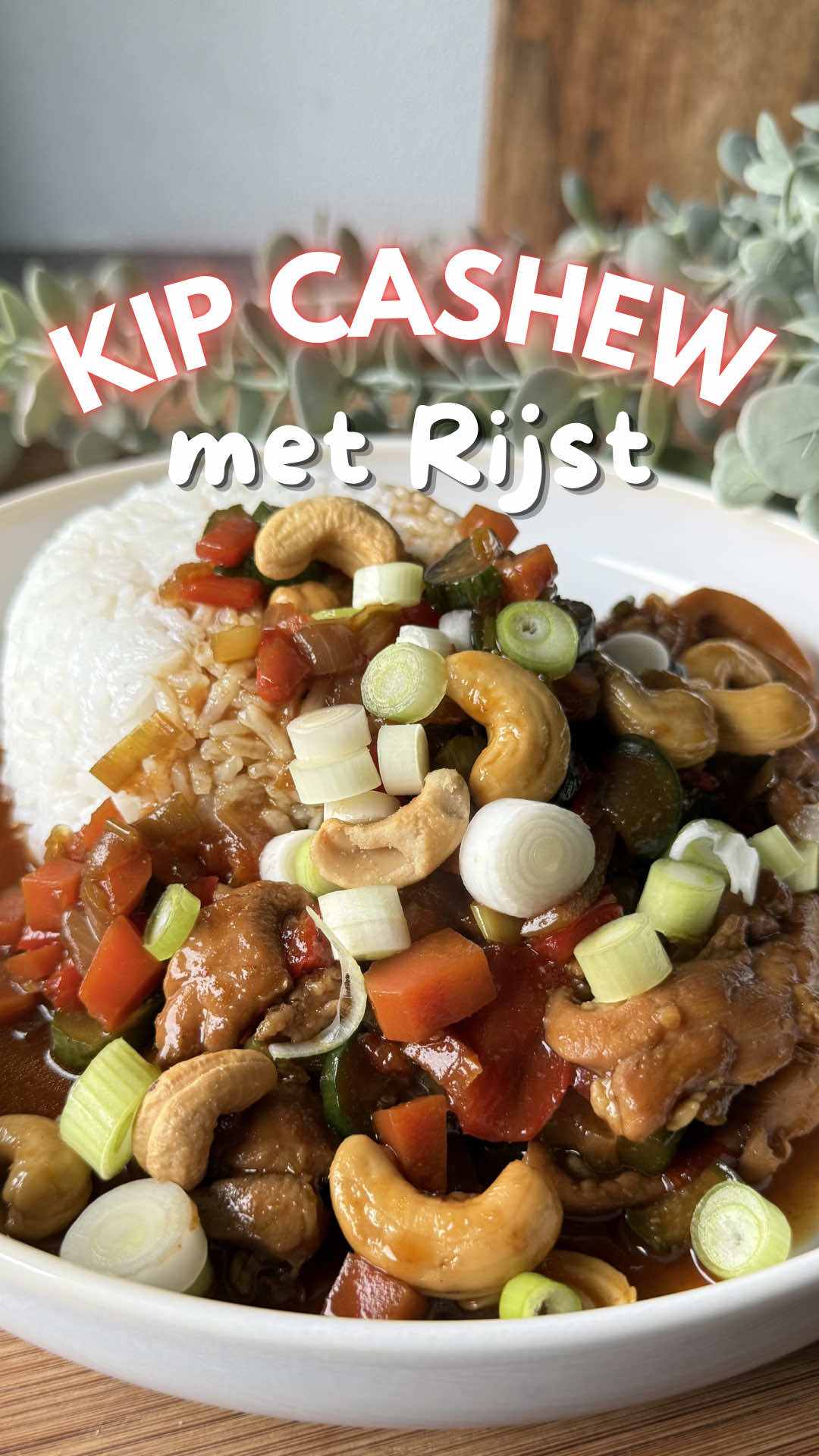 Sticky Chicken Cashew with Rice