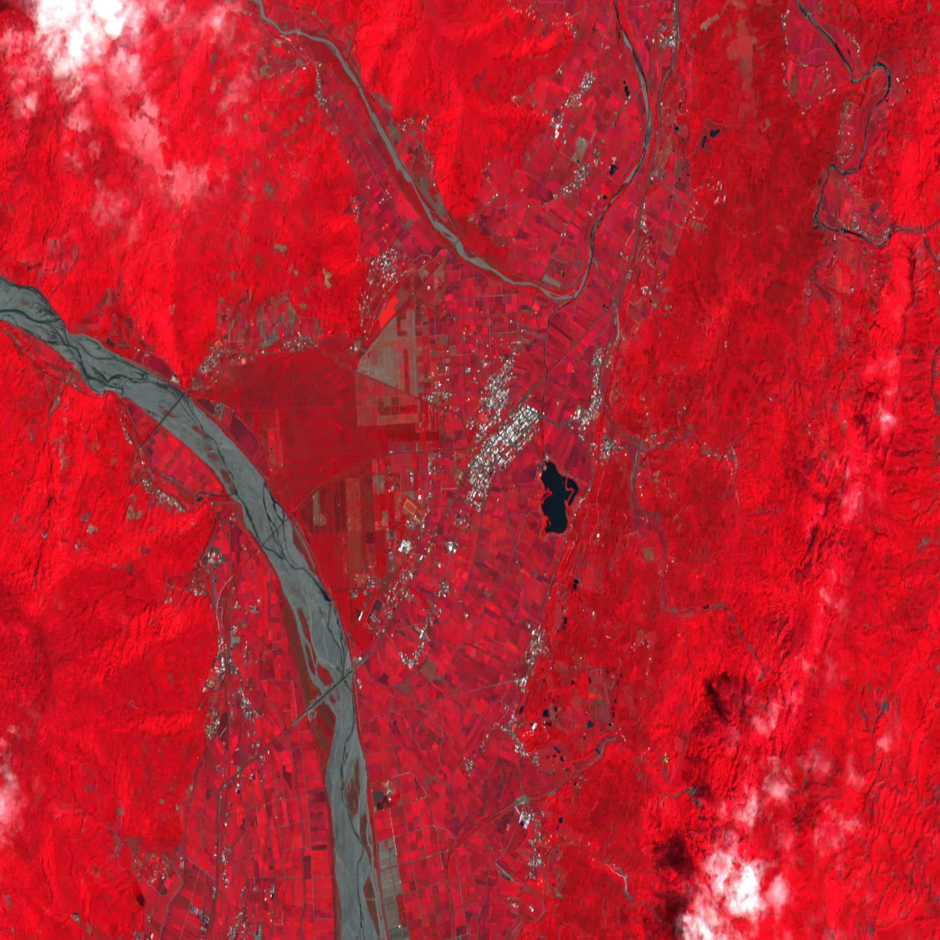 False-color Sentinel-2 satellite image of Chishang, Taiwan: healthy vegetation rendered in vivid red across the valley floor
