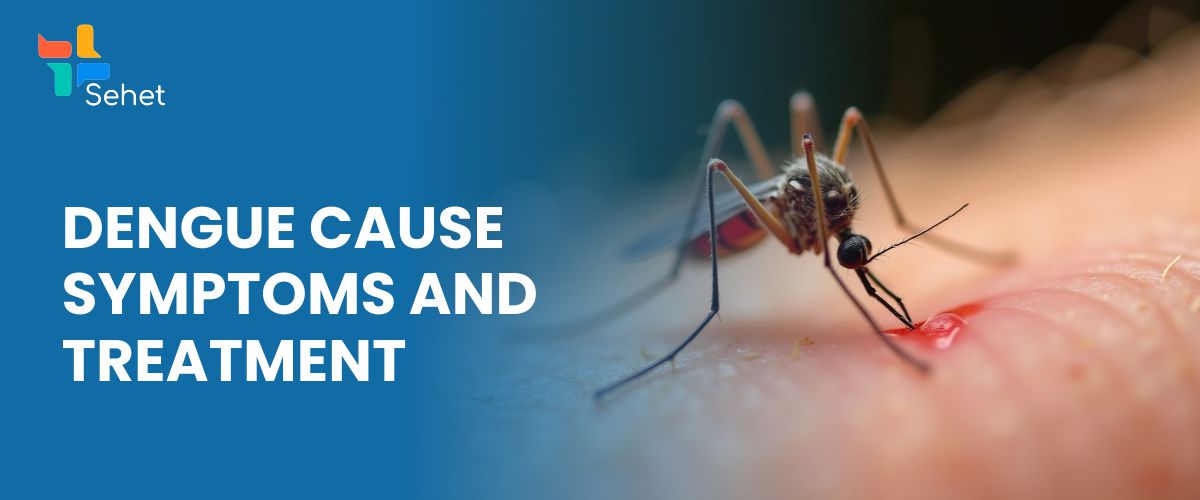 Dengue Types, Symptoms, Causes, Treatment, and Precautions