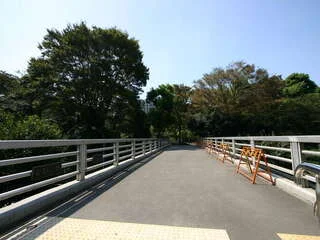 公園小橋