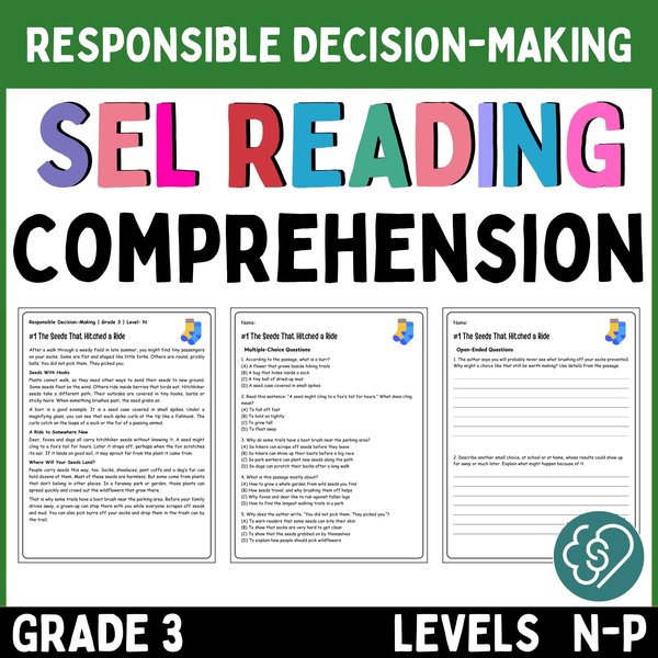 Free Decision-Making Reading Comprehension Passages — Grade 3 — cover preview