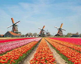 Netherlands