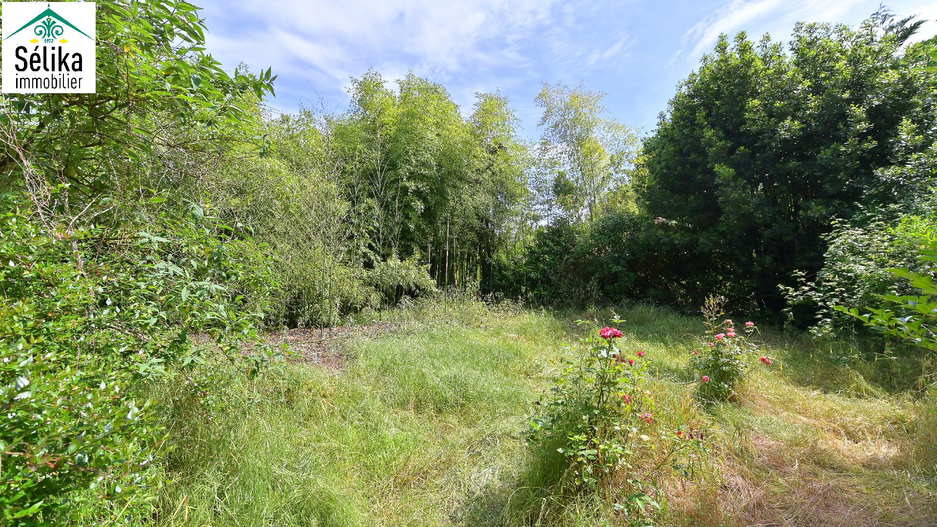 Vaste terrain à CAZAUX !!! VENDU