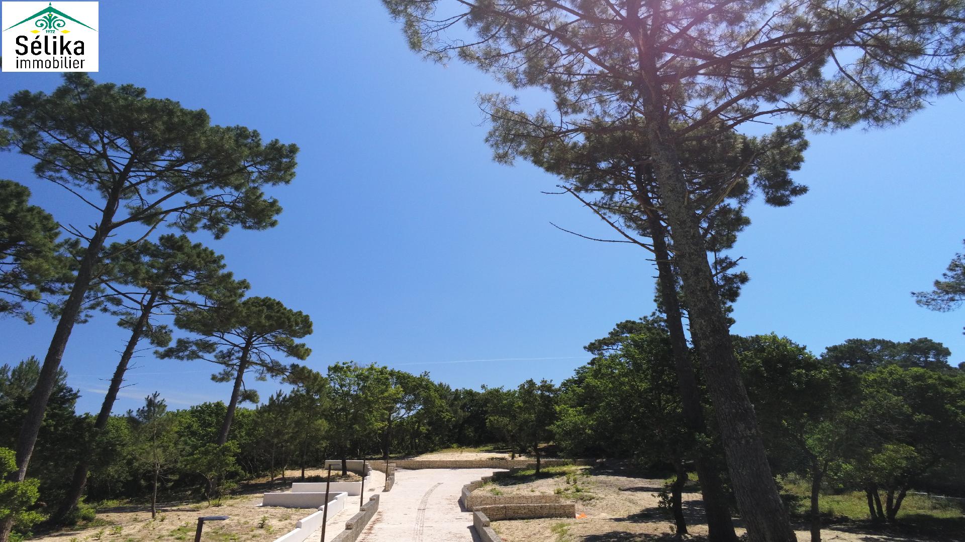 Terrain au calme aux Abatilles