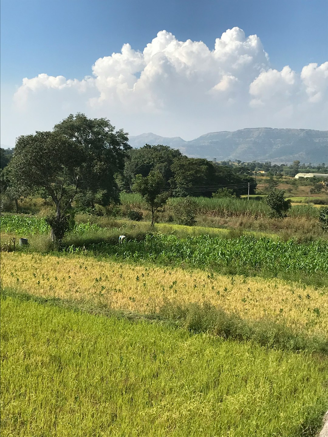 What is the potential benefit from offering Idaho land for money?