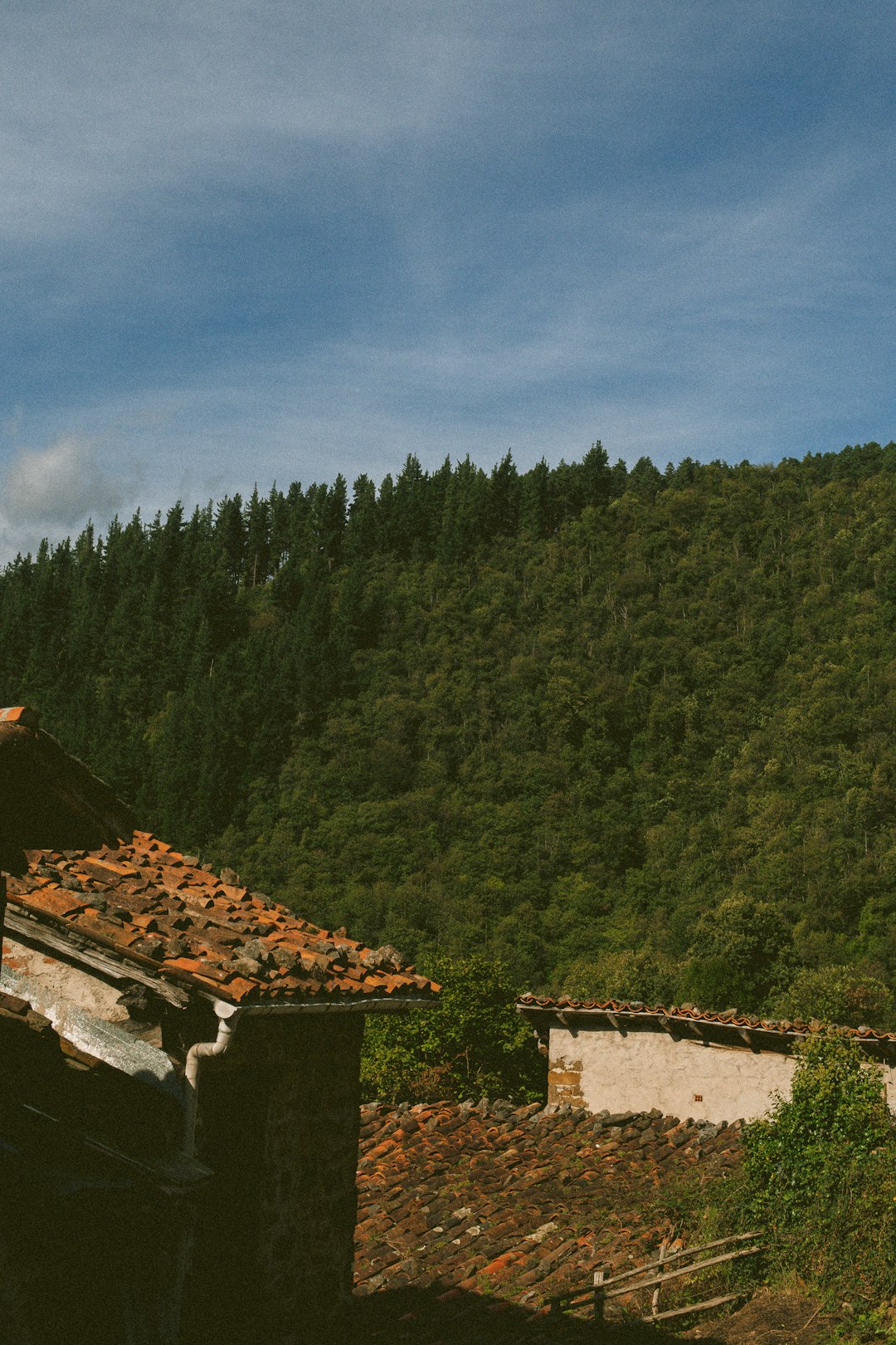 What is the potential make money from selling Idaho land for money?