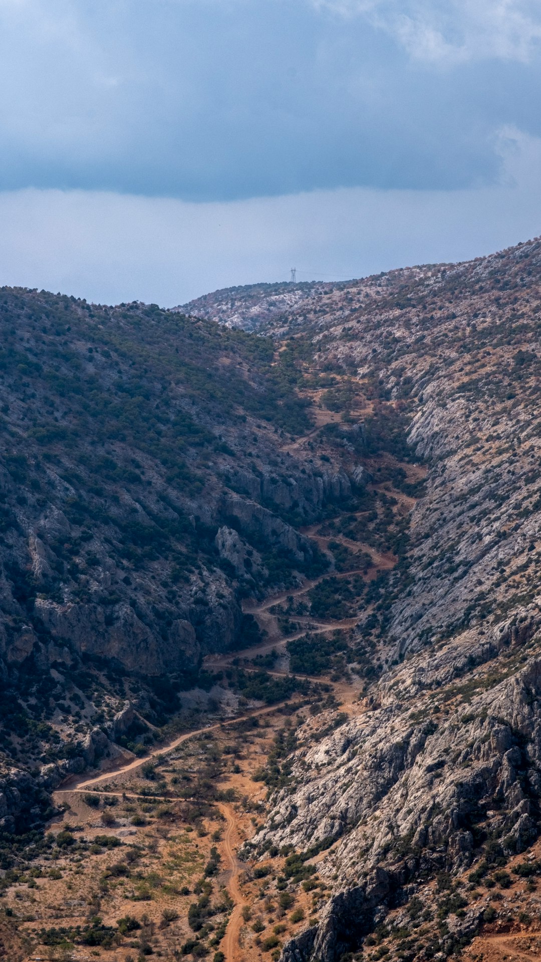 What are the lawful requirements for offering Idaho land?