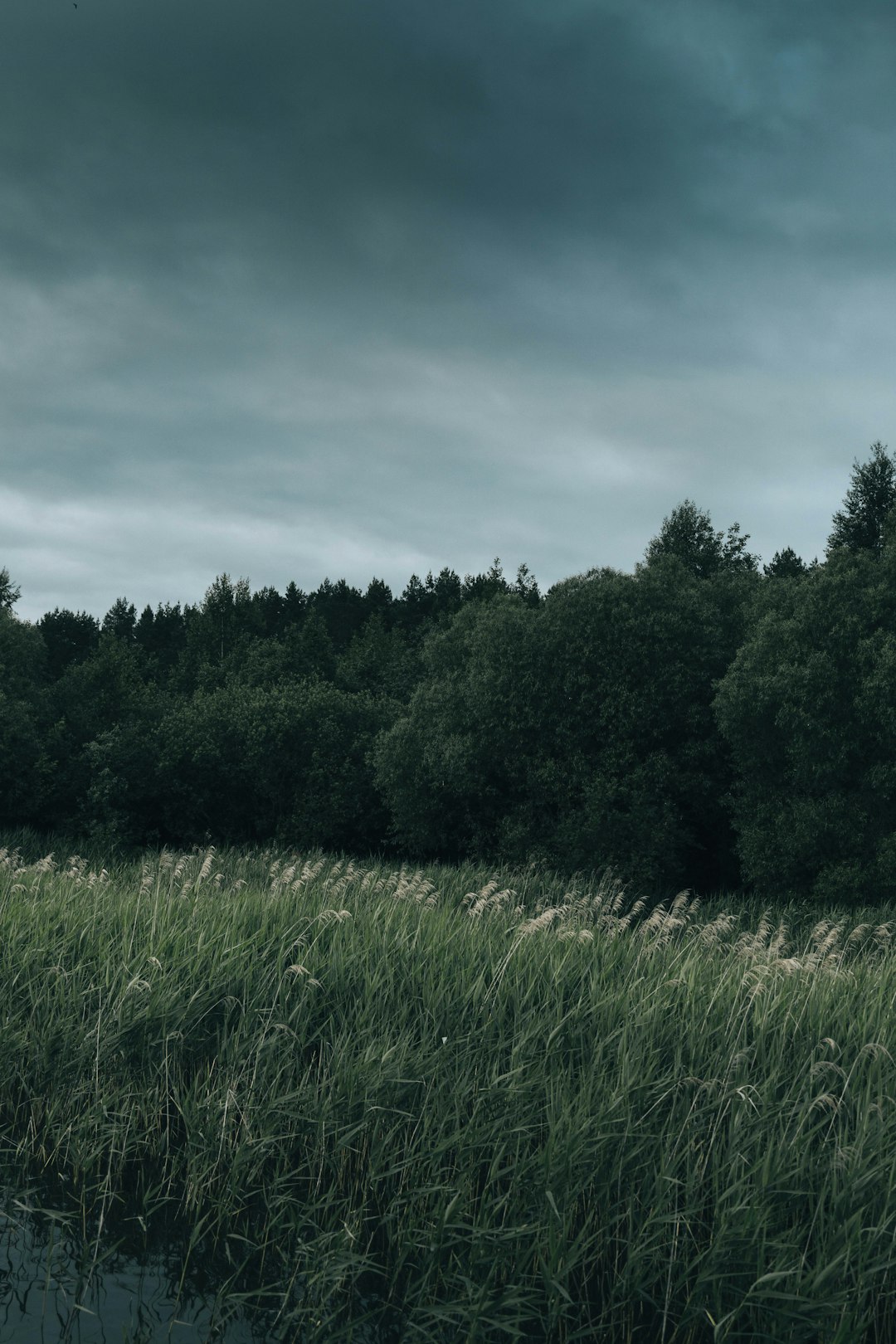 How to Browse the Process of Marketing Oregon Land for Cash