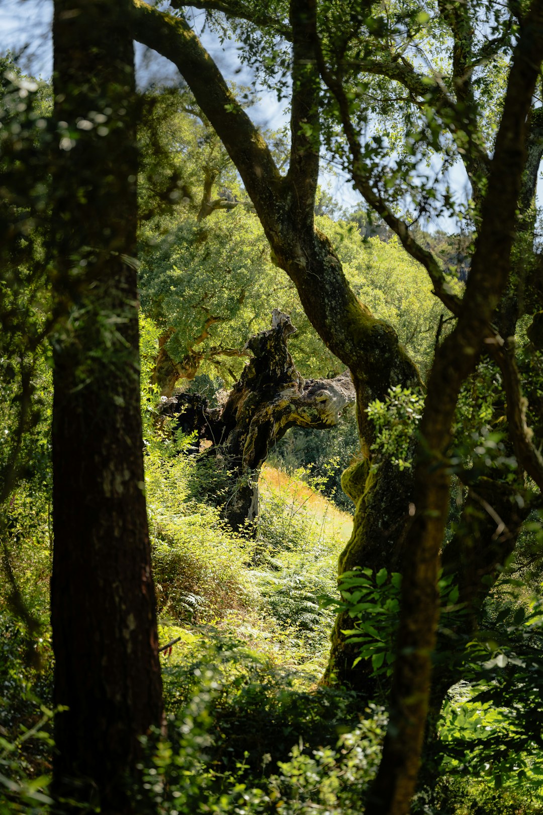 How to Locate Buyers Intrigued in Purchasing Oregon Land for Cash Money