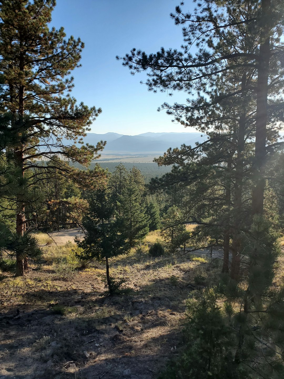 How to obtain the very best price when selling your Montana land