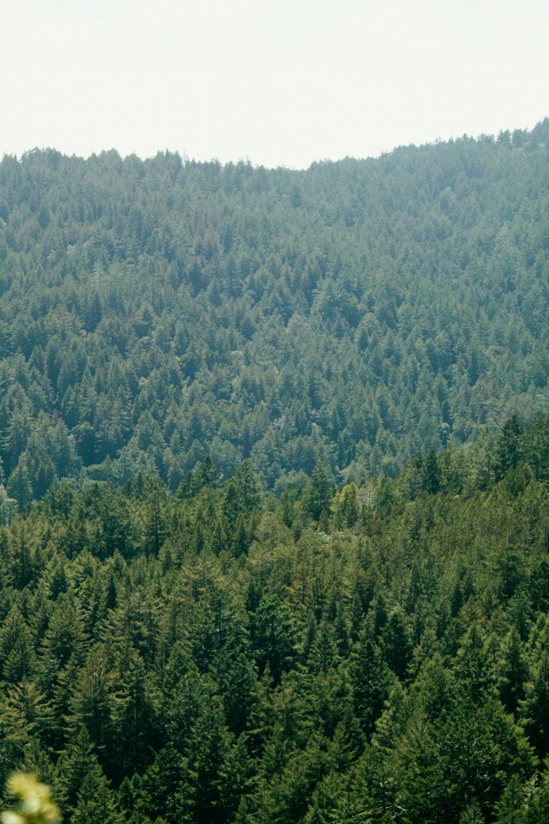 How to discover customers curious about acquiring Montana land for cash