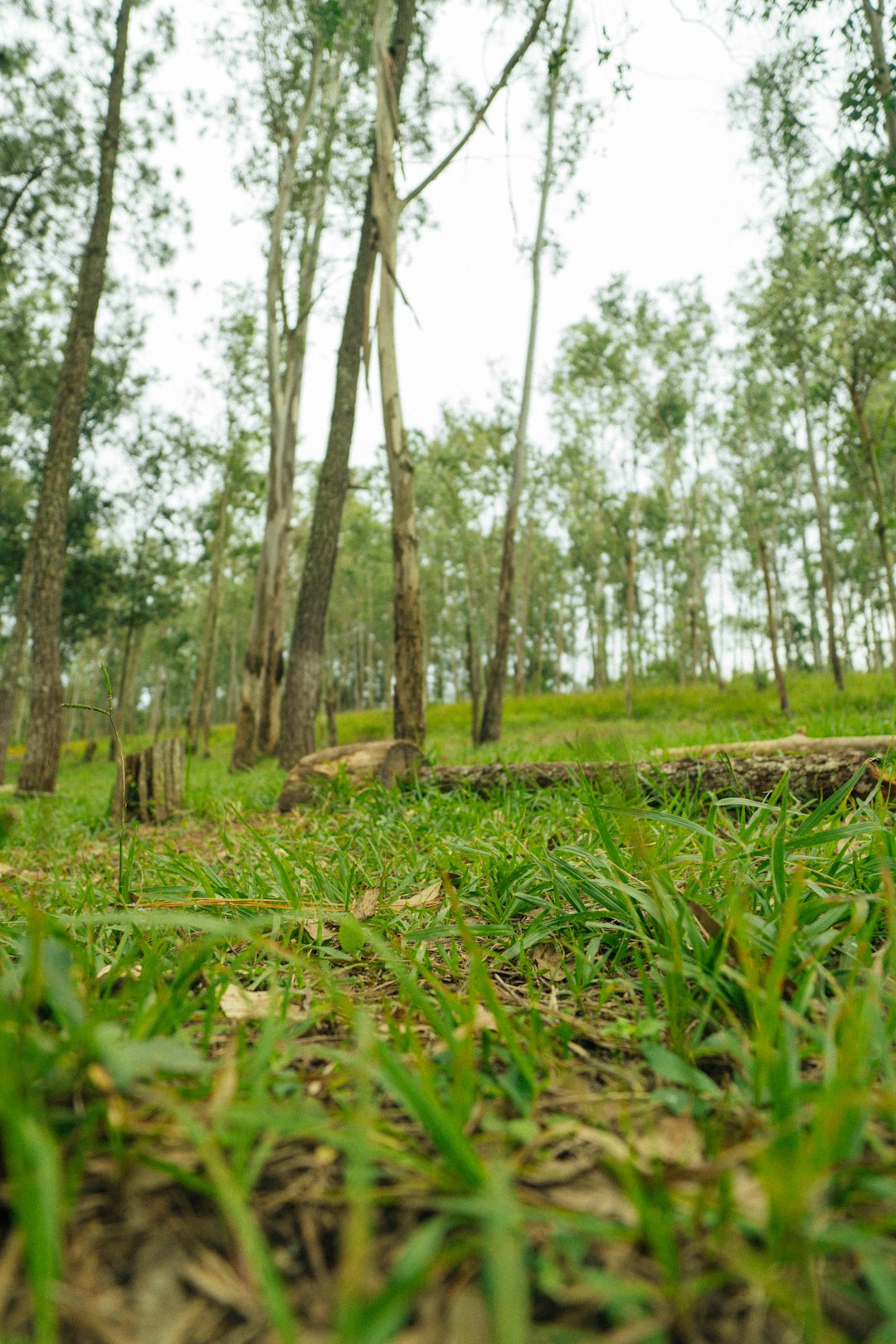 What is the typical timeframe to sell Utah land for cash?