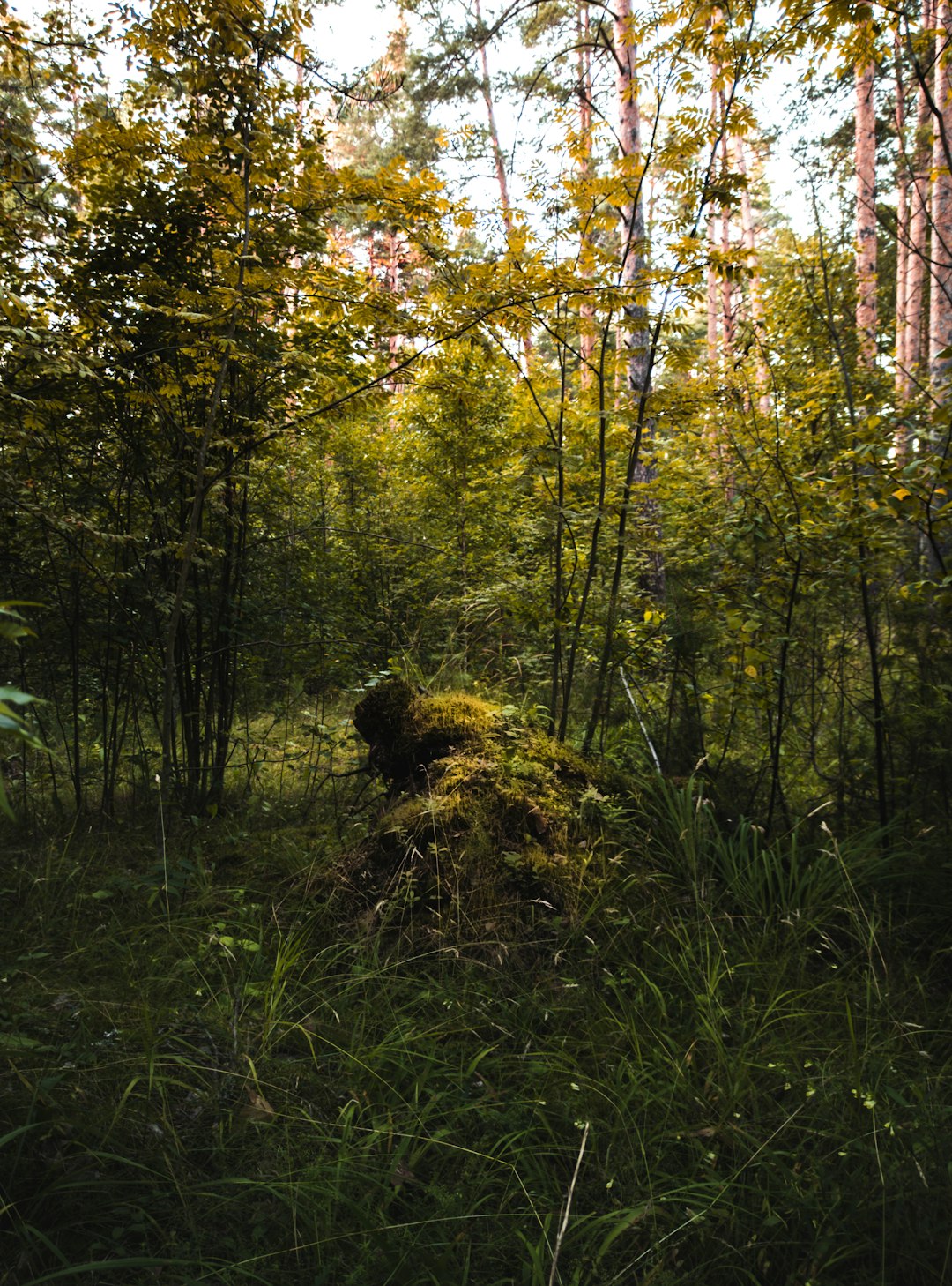 What is the procedure for selling Iowa land for cash?