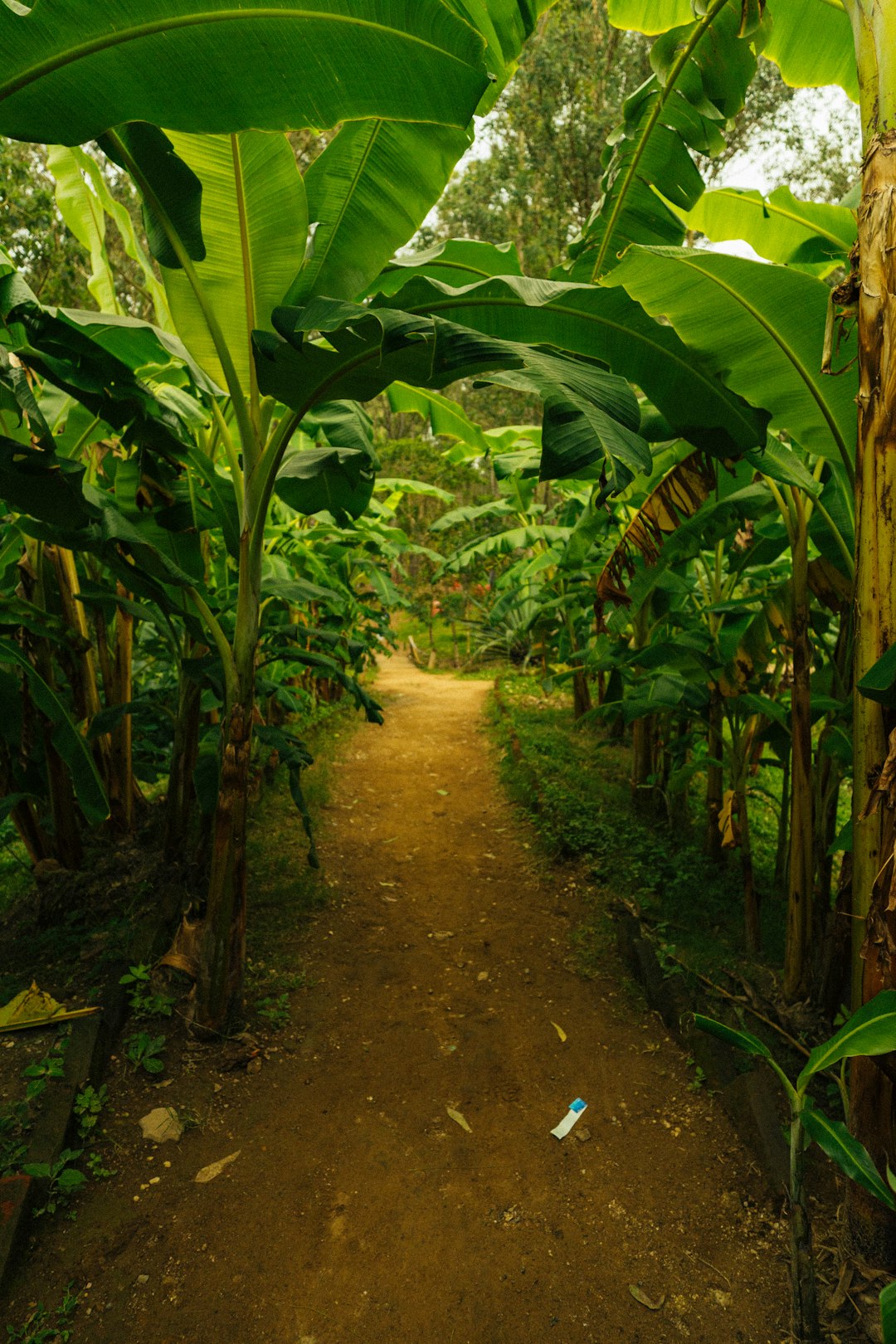 What is the tax implications of marketing Iowa land for cash money?