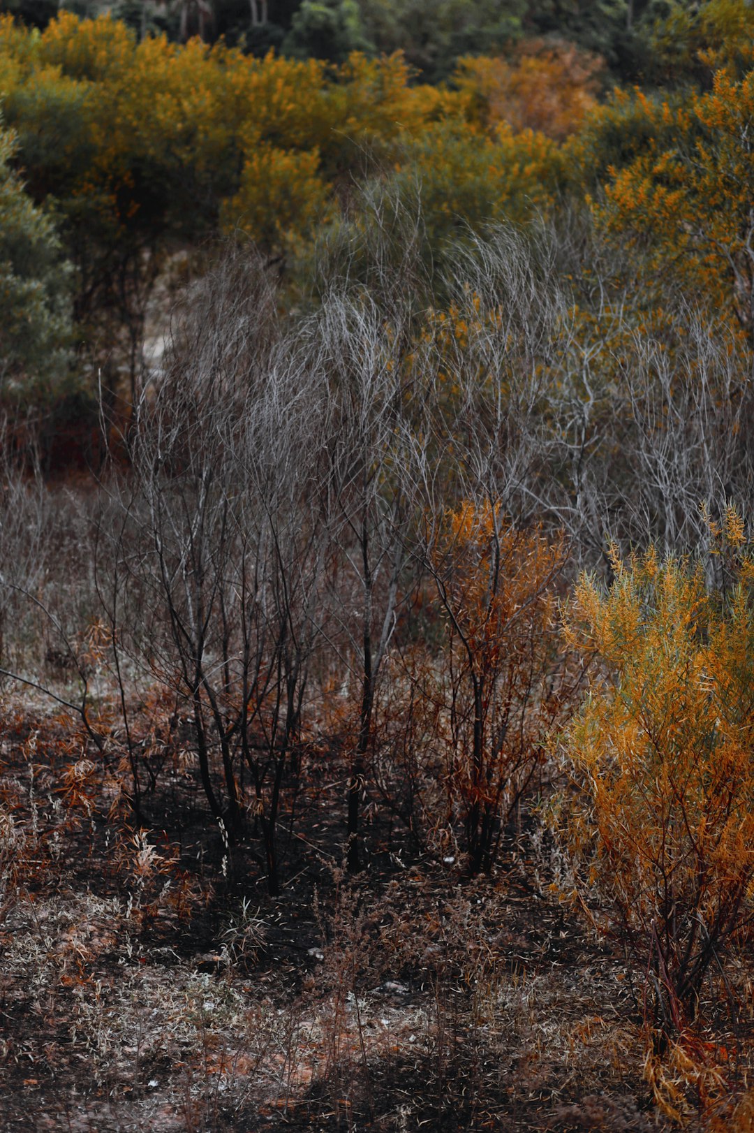 How to get the best price when selling your Montana land