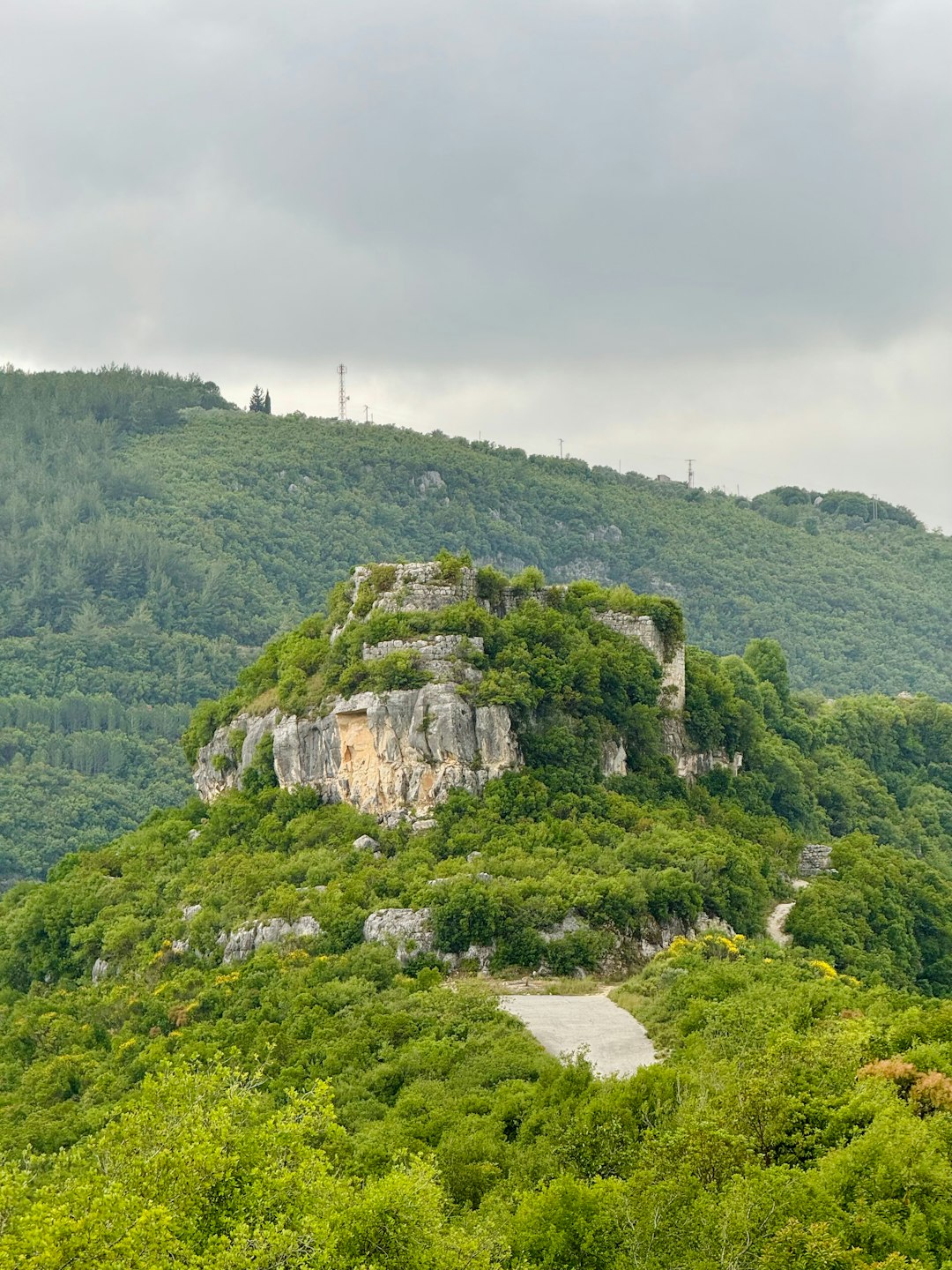 How to Promote Your Virginia Land to buy Efficiently