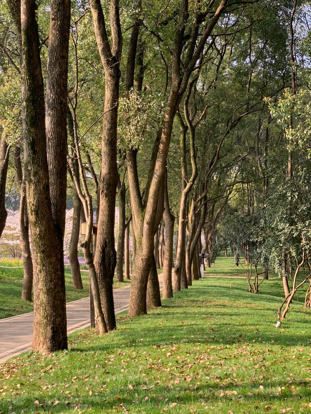 How to Negotiate a Profitable Offer When Selling Virginia Land