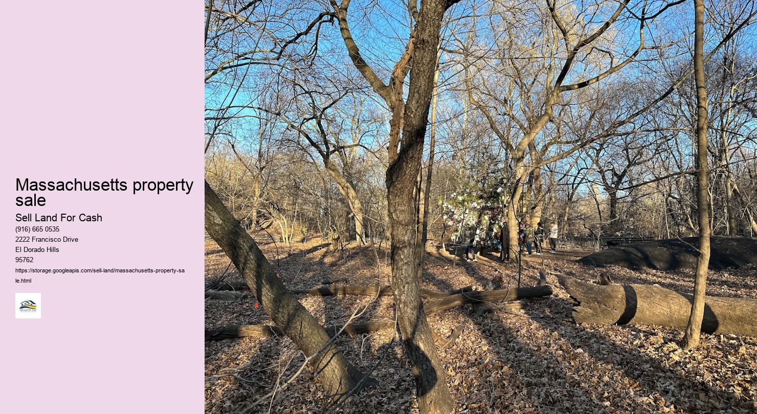 Massachusetts property sale