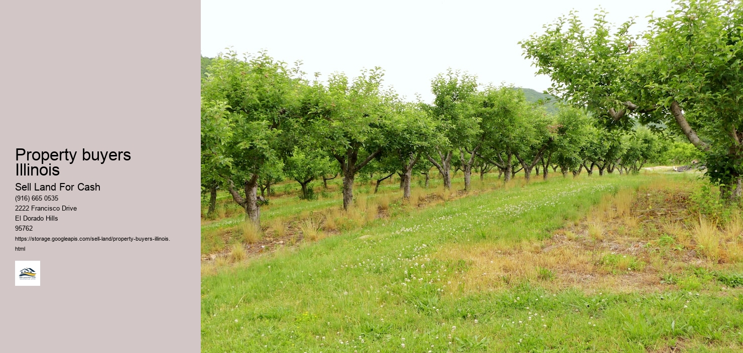 Property buyers Illinois