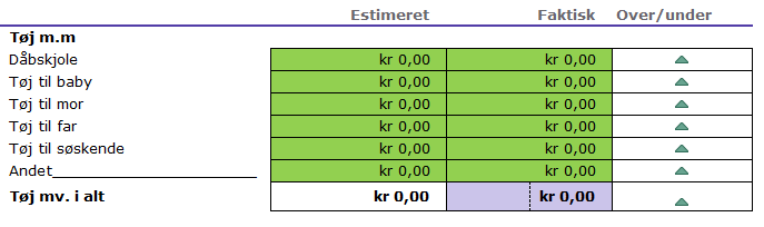 Se hvordan du udfylder budgettet