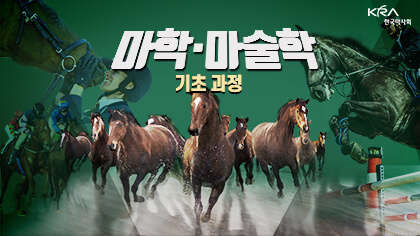 마학·마술학 기초과정