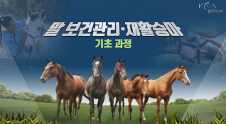 말보건관리·재활승마이론 기초과정