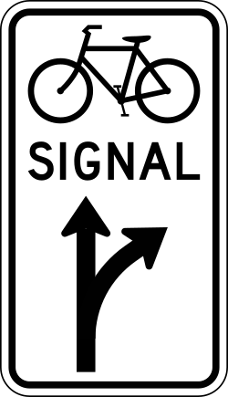 Optional through and turn movements for bicycle signal