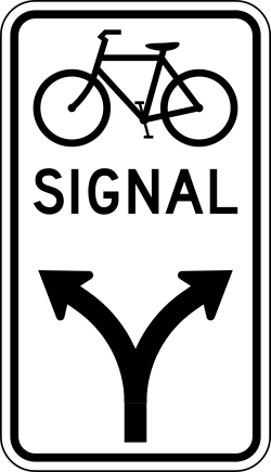 Optional left and right turn movements for bicycle signal