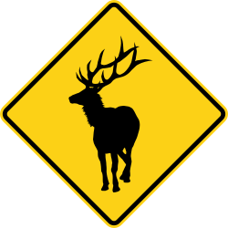 Elk crossing area ahead