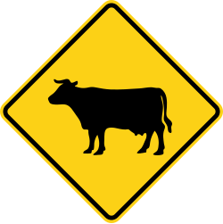 Cattle crossing area ahead
