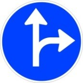 Imagen de la pregunta: ¿Qué maniobras te permite esta señal al llegar a la intersección?