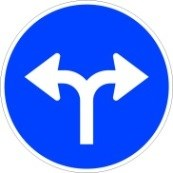 Imagen de la pregunta: Llegas a una intersección con esta señal. ¿Qué no puedes hacer?