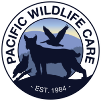 Pacific Wildlife Care