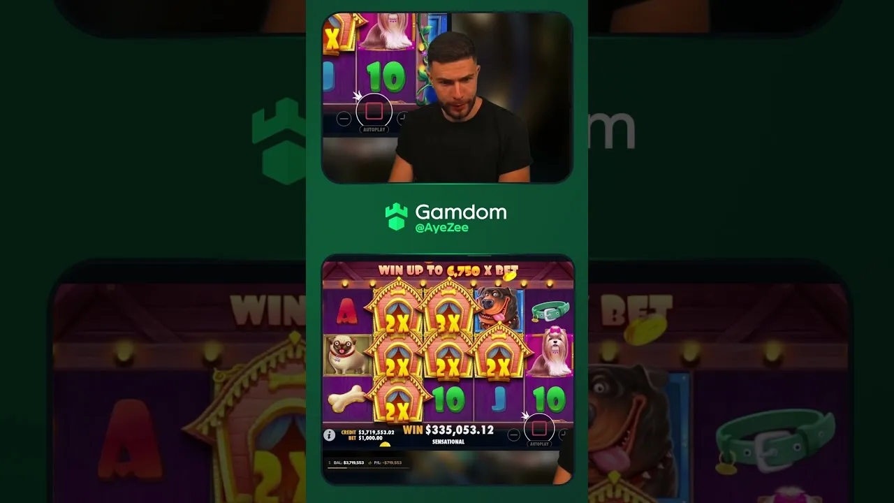 The Dog House: Insane 889x Win on Pragmatic Play Slot!