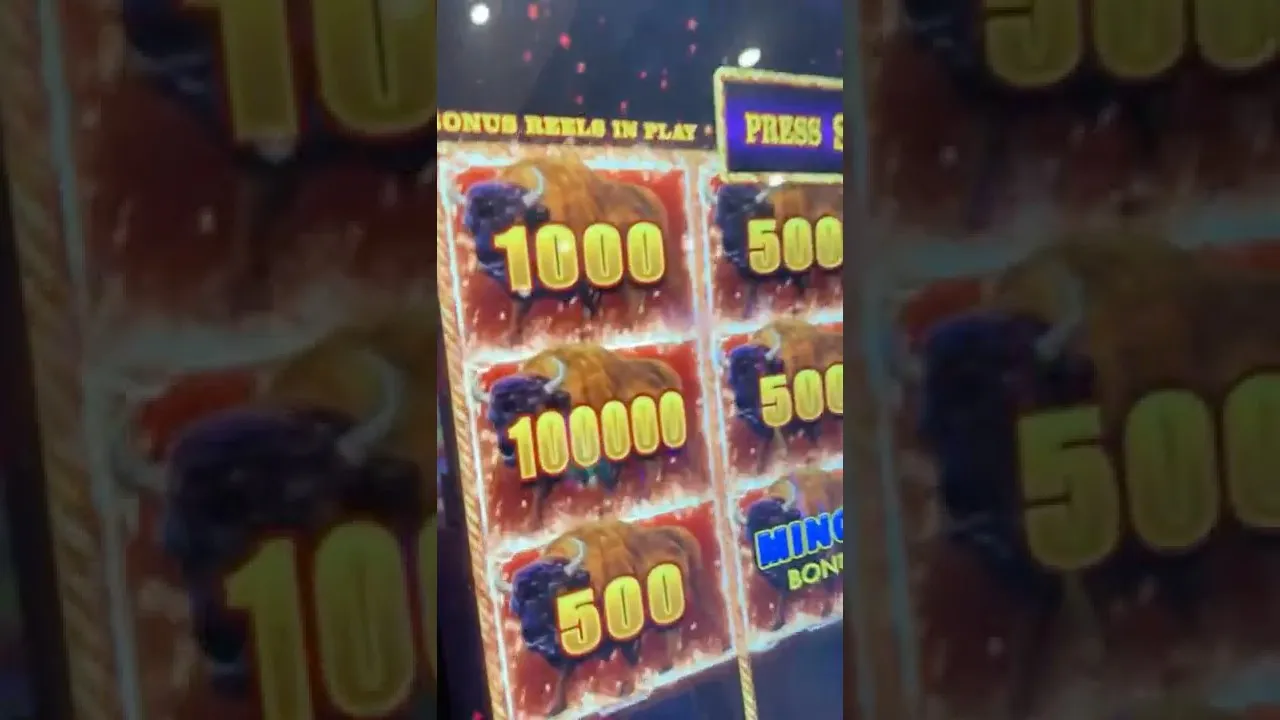 Buffalo Slot: Roaring 248x Bonus Round Win by Aristocrat!