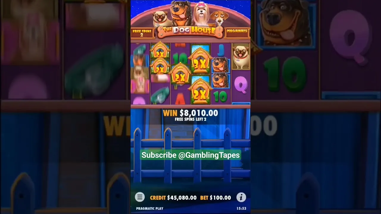 HUGE Win! The Dog House Slot - Pragmatic Play's 530x!